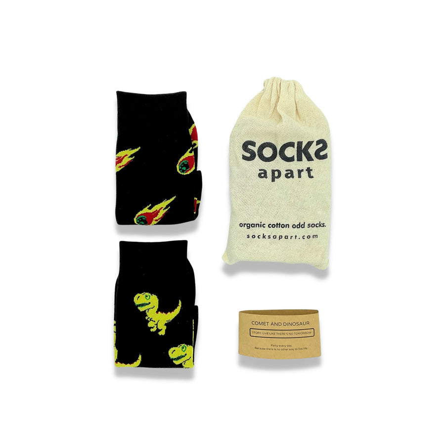 Dinosaur socks. Organic cotton socks,, socks apart. socks with pouch